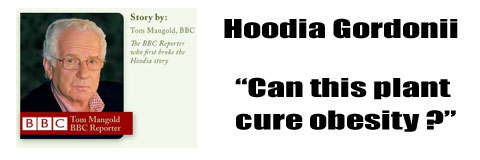 hoodia-and-the-bbc